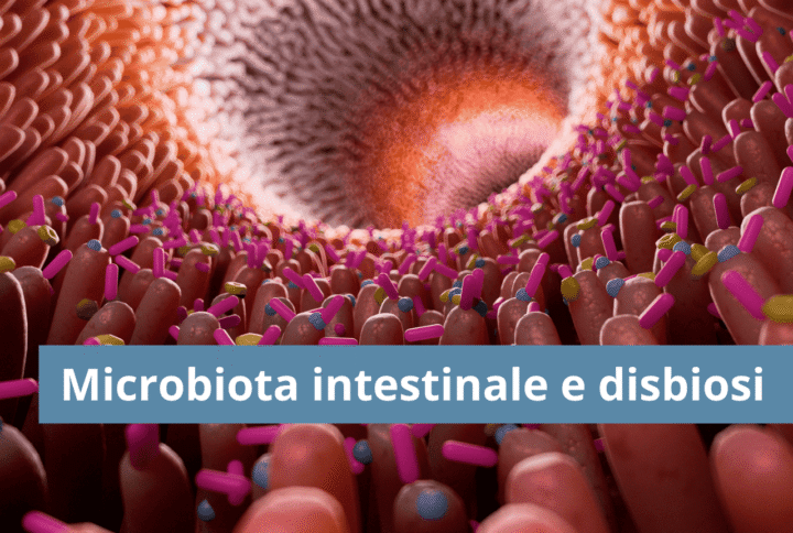 Microbiota intestinale: cos’è, come funziona e cosa può causare la disbiosi