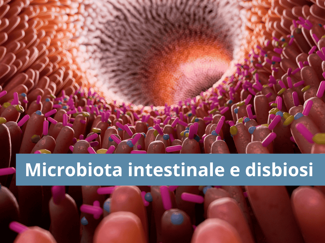 Immagine grafica della parete intestinale e di microrganismi del microbiota